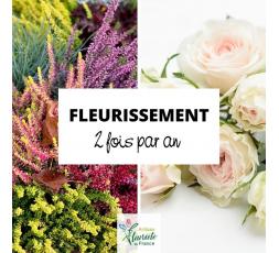 Fleurissement funéraire x2