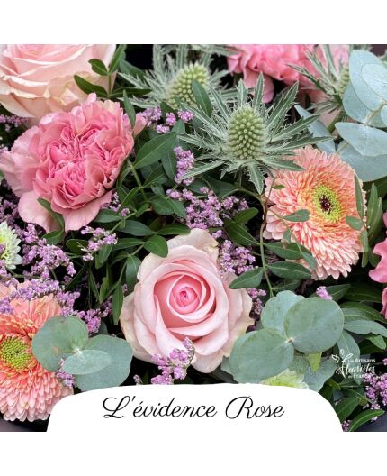 L'évidence rose