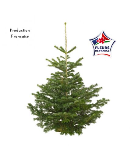 Sapin de Noël Nordmann 125CM/150CM