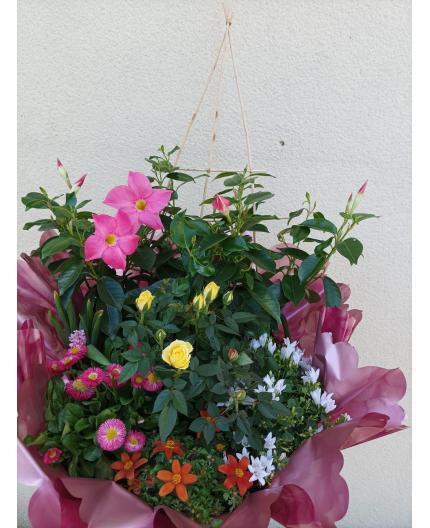 Coupe de plantes Floral