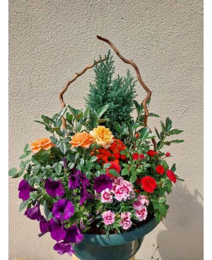 Coupe de plantes floral