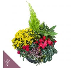 Coupe de plantes Floral