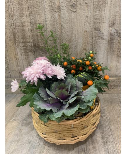 Coupe de plantes coloré petite