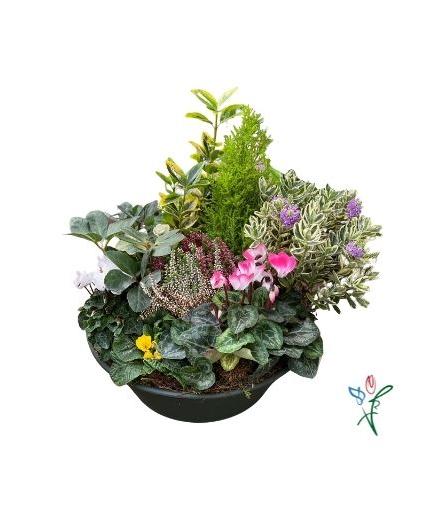 Coupe de plantes Souvenir