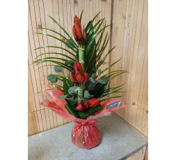 bouquet d'amaryllis 