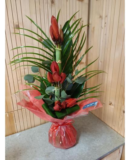 bouquet d'amaryllis 