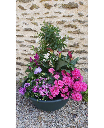 Coupe de plantes Fleurie