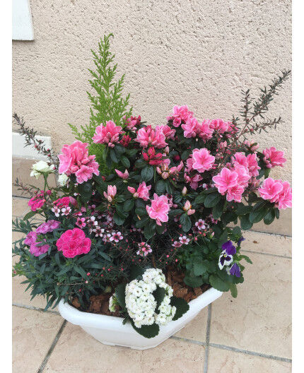 Coupe de plantes extérieur 42A