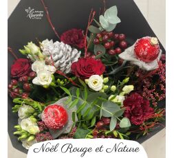 Noël Rouge et Nature