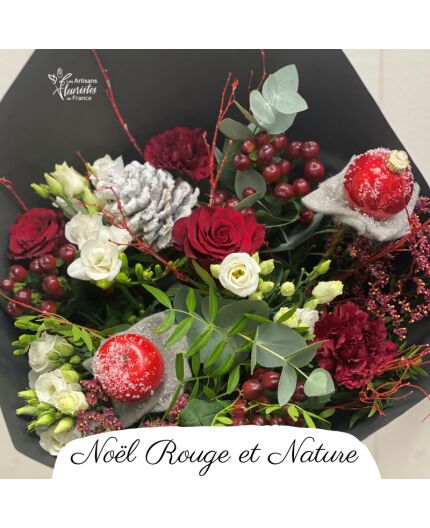 Noël Rouge et Nature