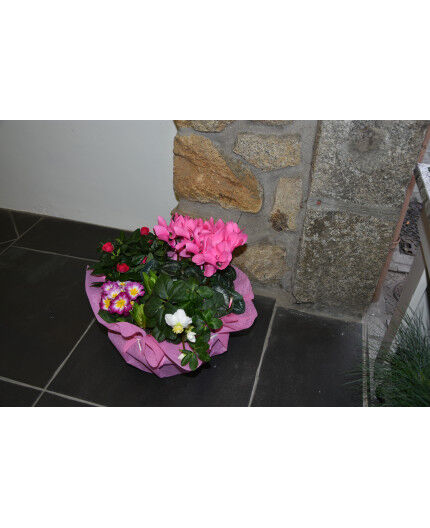 coupe de plantes ton rose blanc