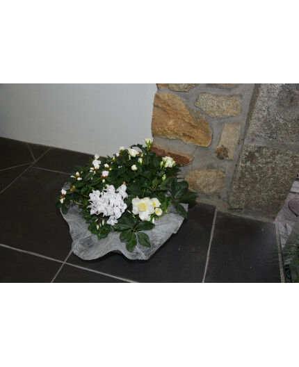 Coupe de plantes ton blanc