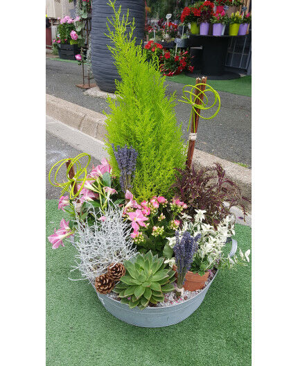 coupe de plantes